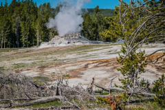 P1060118