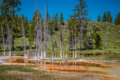 P1060207