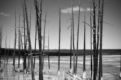 P1060795