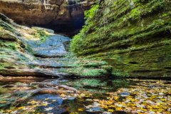 Illinois - Ferne Clyffe State Park