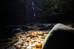 Illinois - Ferne Clyffe State Park